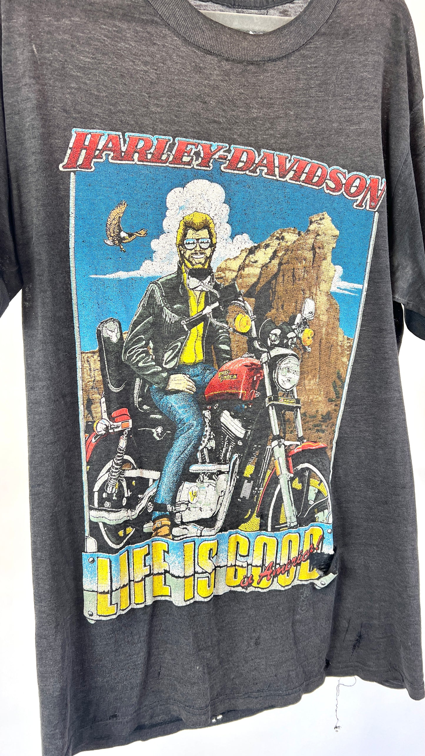 Rare Harley Davidson T Shirt